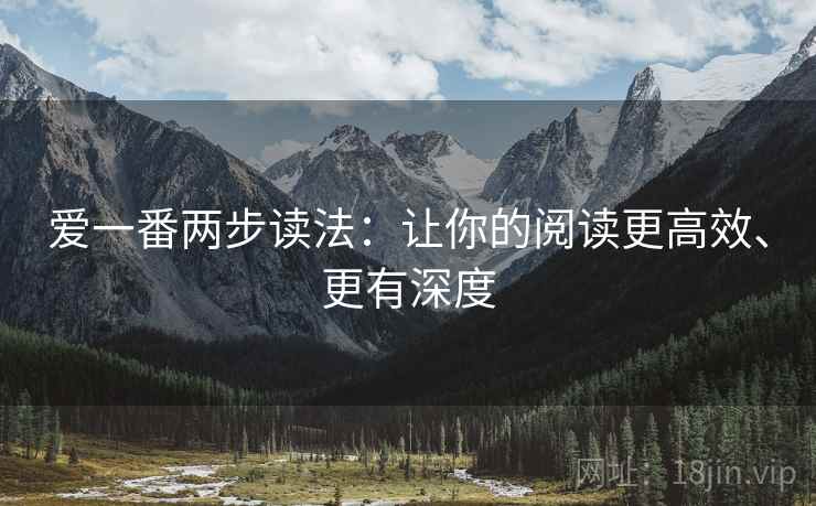 爱一番两步读法：让你的阅读更高效、更有深度