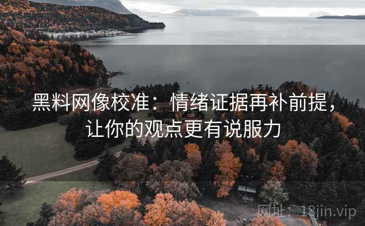 黑料网像校准：情绪证据再补前提，让你的观点更有说服力