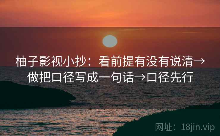 柚子影视小抄：看前提有没有说清→做把口径写成一句话→口径先行